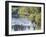 Side Profile of a View of a Young Man Running Across a River-null-Framed Photographic Print