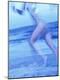Premium Photographic Print