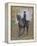 Side-Saddle-Henri de Toulouse-Lautrec-Framed Premier Image Canvas