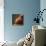 Side View of Abdomen of Full-term Pregnant Woman-Damien Lovegrove-Premium Photographic Print displayed on a wall