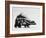 Side View of Skunk-Loomis Dean-Framed Photographic Print