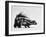 Side View of Skunk-Loomis Dean-Framed Photographic Print