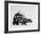 Side View of Skunk-Loomis Dean-Framed Photographic Print