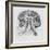 Side View of the Brain-null-Framed Photographic Print