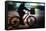 Side View With Motion Blur Of A Delivery Man Riding A Bicycle At Night In Downtown Manhattan-Ron Koeberer-Framed Stretched Canvas