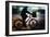 Side View With Motion Blur Of A Delivery Man Riding A Bicycle At Night In Downtown Manhattan-Ron Koeberer-Framed Photographic Print