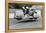 Sidecar TT Race, Isle of Man, 1970-null-Framed Premier Image Canvas