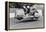 Sidecar TT Race, Isle of Man, 1970-null-Framed Premier Image Canvas