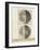 Sidereus Nuncius (Starry Messenger) with Drawings of the Phases and Surface of the Moon-Galileo Galilei-Framed Giclee Print