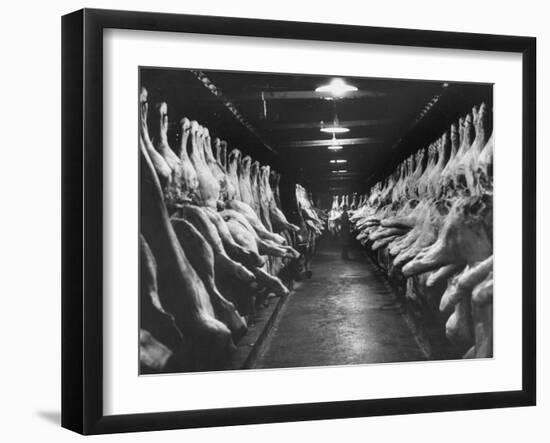 Sides of Beef at Les Halles Market-null-Framed Photographic Print