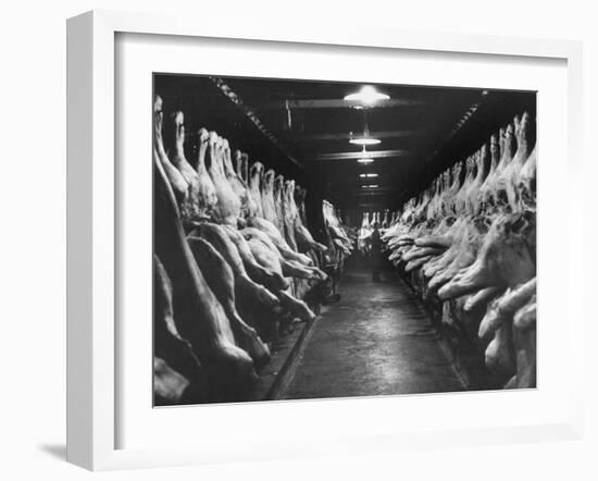 Sides of Beef at Les Halles Market-null-Framed Photographic Print