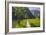 Sidewalk, King's Lake, National Park Berchtesgaden, Berchtesgadener Land District, Bavaria, Germany-Rainer Mirau-Framed Photographic Print