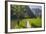 Sidewalk, King's Lake, National Park Berchtesgaden, Berchtesgadener Land District, Bavaria, Germany-Rainer Mirau-Framed Photographic Print