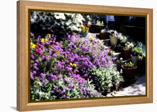 Sidewalk Spring I-Alan Hausenflock-Framed Premier Image Canvas