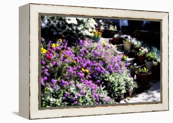 Sidewalk Spring I-Alan Hausenflock-Framed Premier Image Canvas