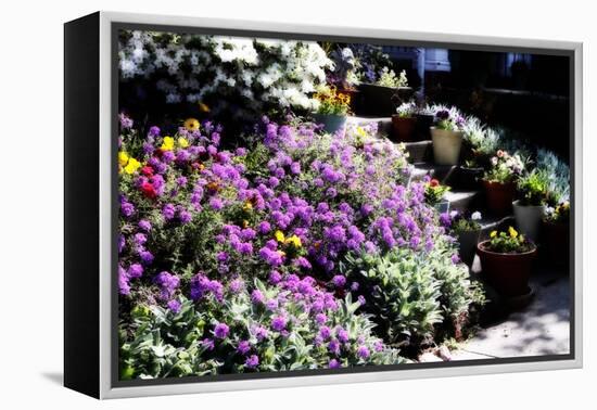 Sidewalk Spring I-Alan Hausenflock-Framed Premier Image Canvas