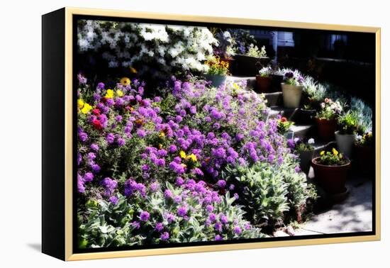 Sidewalk Spring I-Alan Hausenflock-Framed Premier Image Canvas