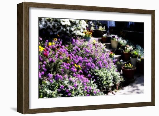 Sidewalk Spring I-Alan Hausenflock-Framed Photographic Print