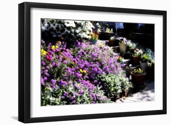 Sidewalk Spring I-Alan Hausenflock-Framed Photographic Print