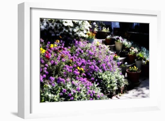 Sidewalk Spring I-Alan Hausenflock-Framed Photographic Print