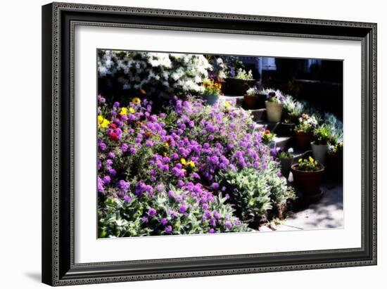 Sidewalk Spring I-Alan Hausenflock-Framed Photographic Print