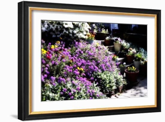 Sidewalk Spring I-Alan Hausenflock-Framed Photographic Print