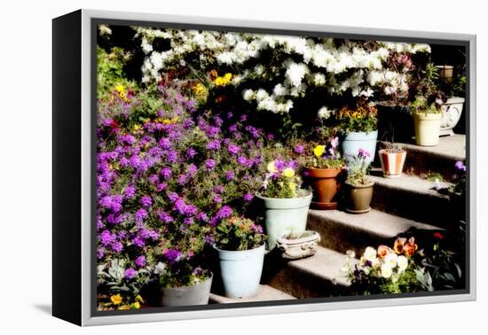 Sidewalk Spring II-Alan Hausenflock-Framed Premier Image Canvas