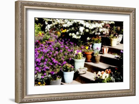 Sidewalk Spring II-Alan Hausenflock-Framed Photographic Print