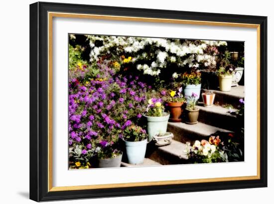 Sidewalk Spring II-Alan Hausenflock-Framed Photographic Print