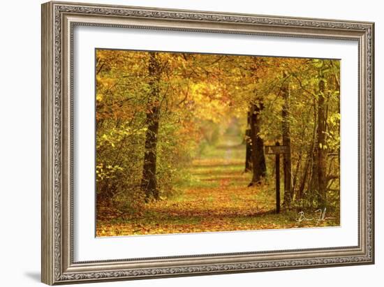 Sidewalk Trail-5fishcreative-Framed Giclee Print