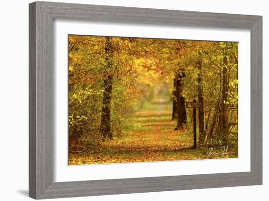 Sidewalk Trail-5fishcreative-Framed Giclee Print