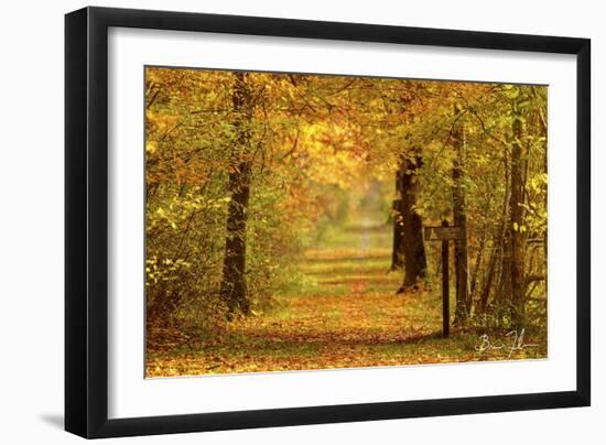 Sidewalk Trail-5fishcreative-Framed Giclee Print