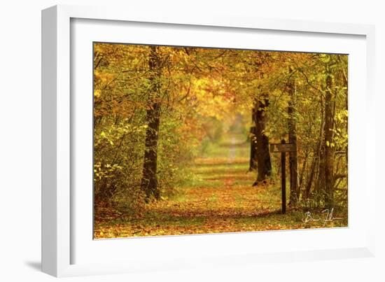 Sidewalk Trail-5fishcreative-Framed Giclee Print