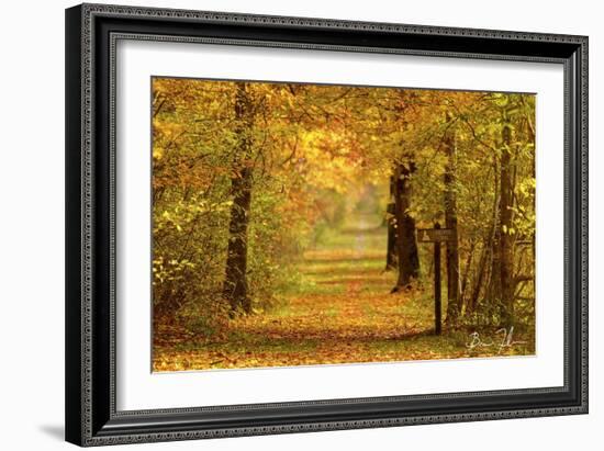 Sidewalk Trail-5fishcreative-Framed Giclee Print