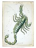 Constellation: Scorpio-Sidney Hall-Framed Giclee Print