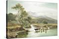 Stretched Canvas Print