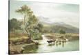 Stretched Canvas Print