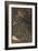 Sidonia Von Bork 1560-Edward Burne-Jones-Framed Giclee Print