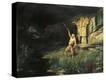 Stretched Canvas Print