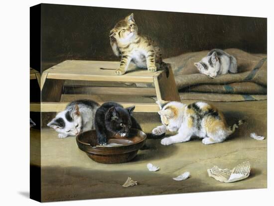 Stretched Canvas Print, , large