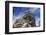 Siem Reap, Cambodia. Ancient ruins and towers of the Bayon Temple in Angkor Thom-Miva Stock-Framed Photographic Print