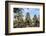 Siem Reap, Cambodia. Entrance to the ancient ruins and towers of the Bayon Temple in Preah Khan-Miva Stock-Framed Photographic Print