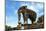 Siem Reap, Cambodia. Stone sculpture of an elephant at the temple complex of Pre Rup-Miva Stock-Mounted Photographic Print