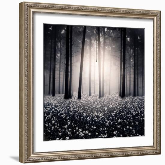 Siempre-Luis Beltran-Framed Photographic Print