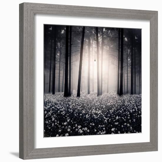 Siempre-Luis Beltran-Framed Photographic Print