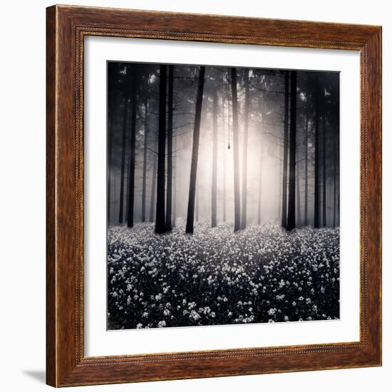 Siempre-Luis Beltran-Framed Photographic Print