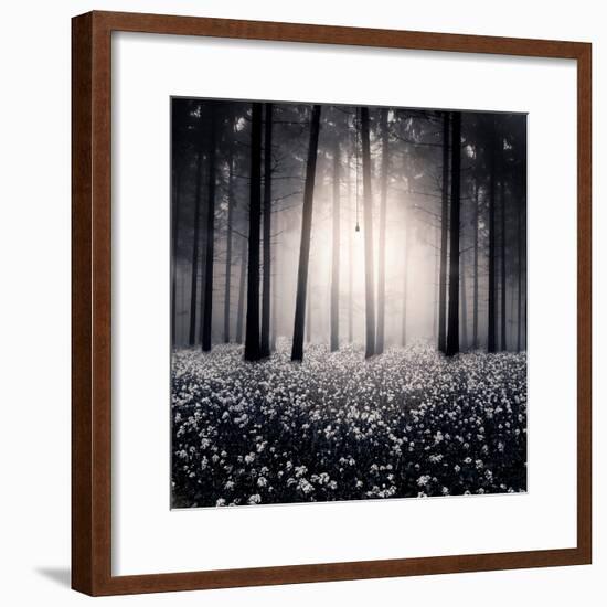 Siempre-Luis Beltran-Framed Photographic Print