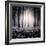 Siempre-Luis Beltran-Framed Photographic Print