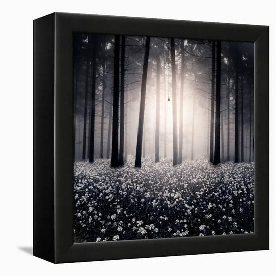 Siempre-Luis Beltran-Framed Premier Image Canvas