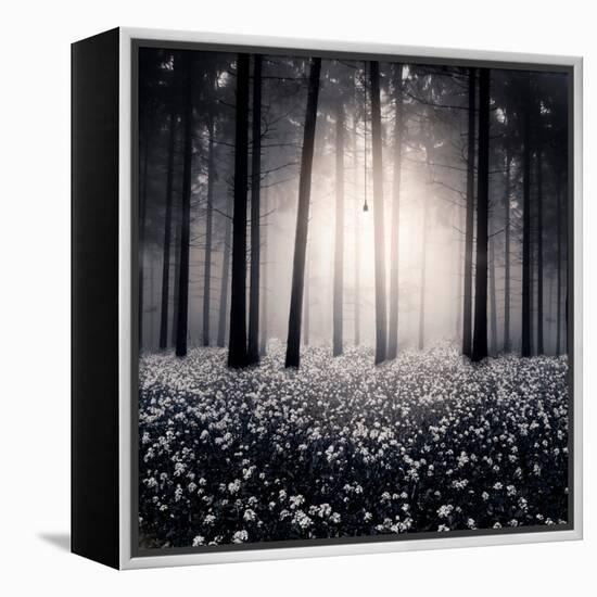 Siempre-Luis Beltran-Framed Premier Image Canvas